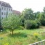 Blick_in_den_Park1